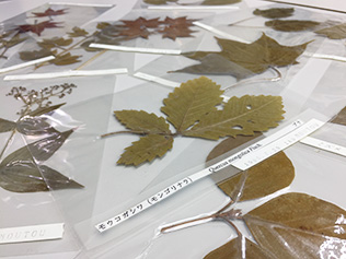 ネイチャーライブラリ