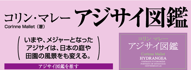 コリン・マレー『アジサイ図鑑』 Crinne Mallet（著）　（いまや、メジャーとなったアジサイは、日本の庭や田園の風景をも変える。）　アジサイ図鑑を推す