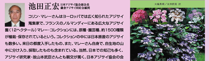 池田正宏　日本アジサイ協会副会長　鎌倉アジサイ同好会顧問」