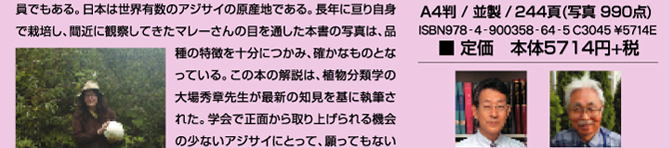 コリン・マレーさんはヨーロパでは広く知られたアジサイ蒐集家だ、フランスのノルマンディーにある広大なアジサイ園（12ヘクタール）マレー・コレクションには、原種・園芸種、約1500種類が植栽・保存されているという。コレクションの中には日本原産のアジサイも数多い。来日の都度入手したもの、また、マレーさん自身で、自生地の山中に分け入り、採取したものも含まれている。当然、日本での知己も多く、アジサイ研究家・故山本武臣さんとも親交が篤く、日本アジサイ協会の会員でもある。日本は世界有数のアジサイの原産地である。長年に亘り自身で栽培し、間近に観察してきたマレーさんの目を通した本書の写真は、品種の特徴を十分につかみ、確かなものとなっている。この本の解説は、植物分類学の大場秀章先生が最新の知見を基に執筆された。学会で正面から取り上げられる機会の少ないアジサイにとって、願ってもないことで、市民権を得た思いがする。太田哲英先生は、奥様ともども、多年園芸を趣味にしてこられ、研究心旺盛なヤマアジサイの蒐集家である。アジサイの栽培にも精通した上での翻訳は、微に入った間違いのないものである。