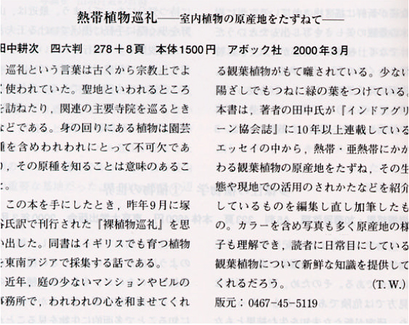 記事画像