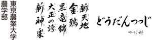 指定フォントや手書き文字・点字