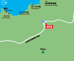 イラストマップ/点字触知図