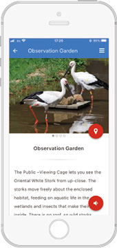 スポット画面（英語）〈兵庫県立コウノトリの郷公園〉