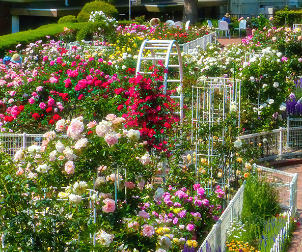 横浜市こども植物園