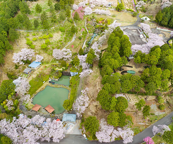 奥山高原