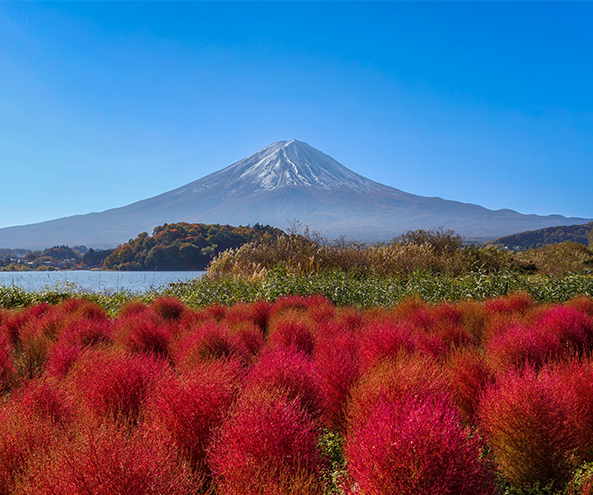 富士山