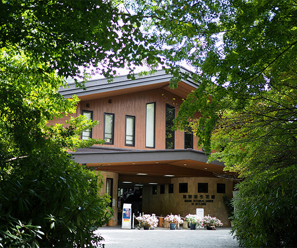 箱根湿生花園