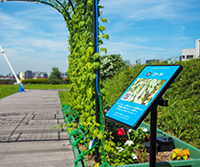 こども霞が関「空の公園」