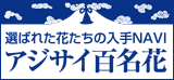 選ばれた花たちの入手ナビ アジサイ百名花