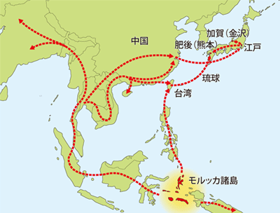 スイゼンジナの渡来経路（想定図）