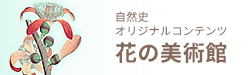 自然史オリジナルコンテンツ「花の美術館」