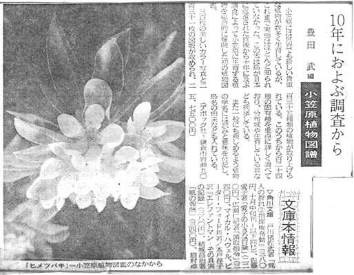 1981年9月28日 神奈川新聞