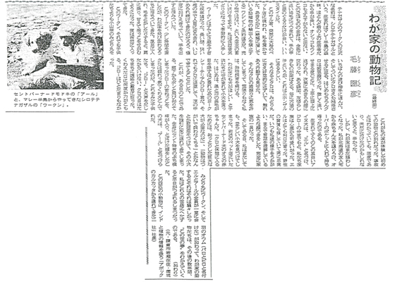 1991年5月2日 鎌倉朝日