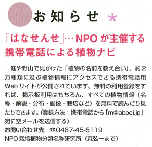 2005年8月号 NHK趣味の園芸