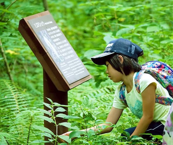 十和田八幡平国立公園 蔦温泉付近 自然観察路　サイン画像
