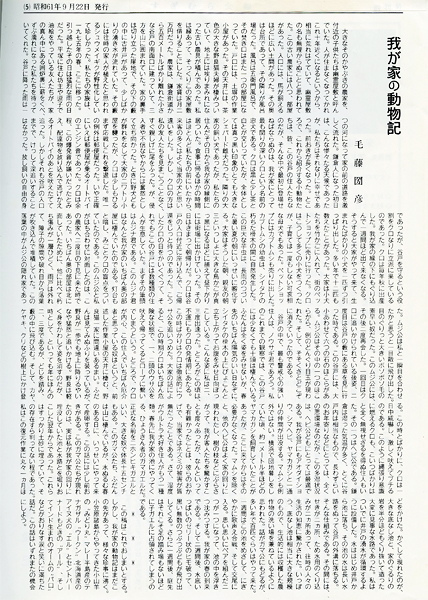 記事画像