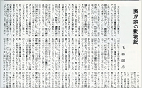 記事画像