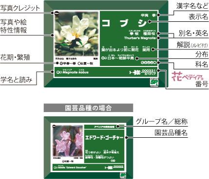 Aboc アボック社 造園 ガーデン向け
