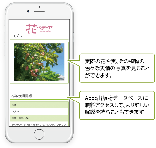 Aboc アボック社 造園 ガーデン向け Aboc アボック社 造園 ガーデン向け