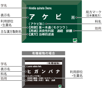 Aboc アボック社 コレクション向け Aboc アボック社 コレクション向け