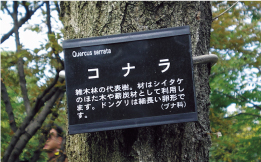 国営昭和記念公園（東京都立川市）