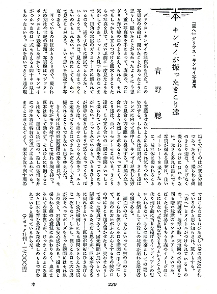 記事画像